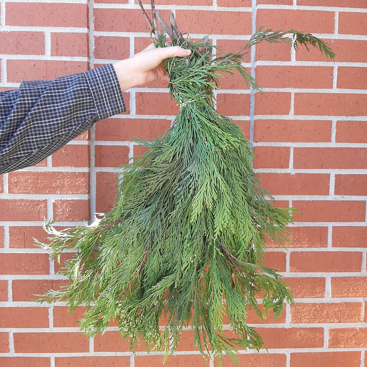 cedar incense bundle Baker Garden and Gift