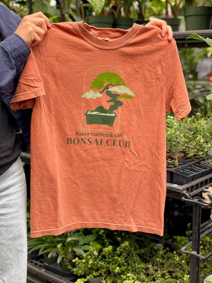 Bonsai Club Yam XL Baker Garden and Gift
