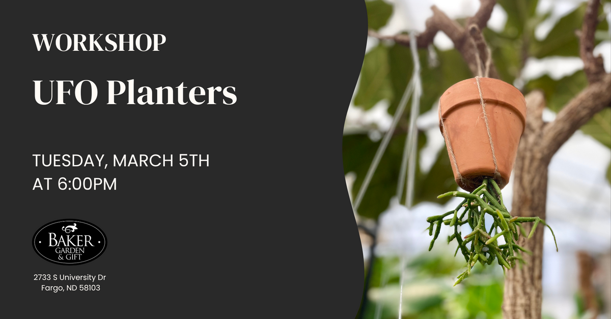 UFO planter Baker Garden and Gift