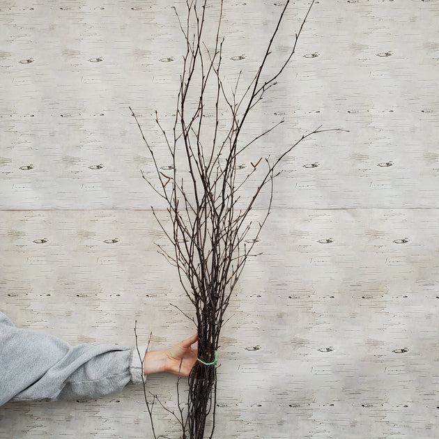 Seasonal Pics & Sticks Baker Garden and Gift