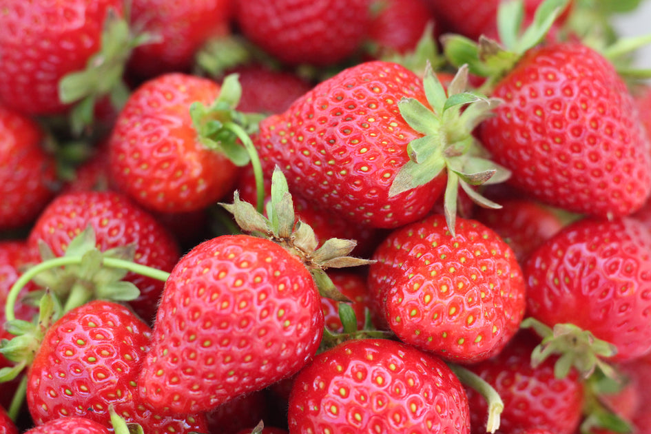 Strawberries – Baker Garden and Gift