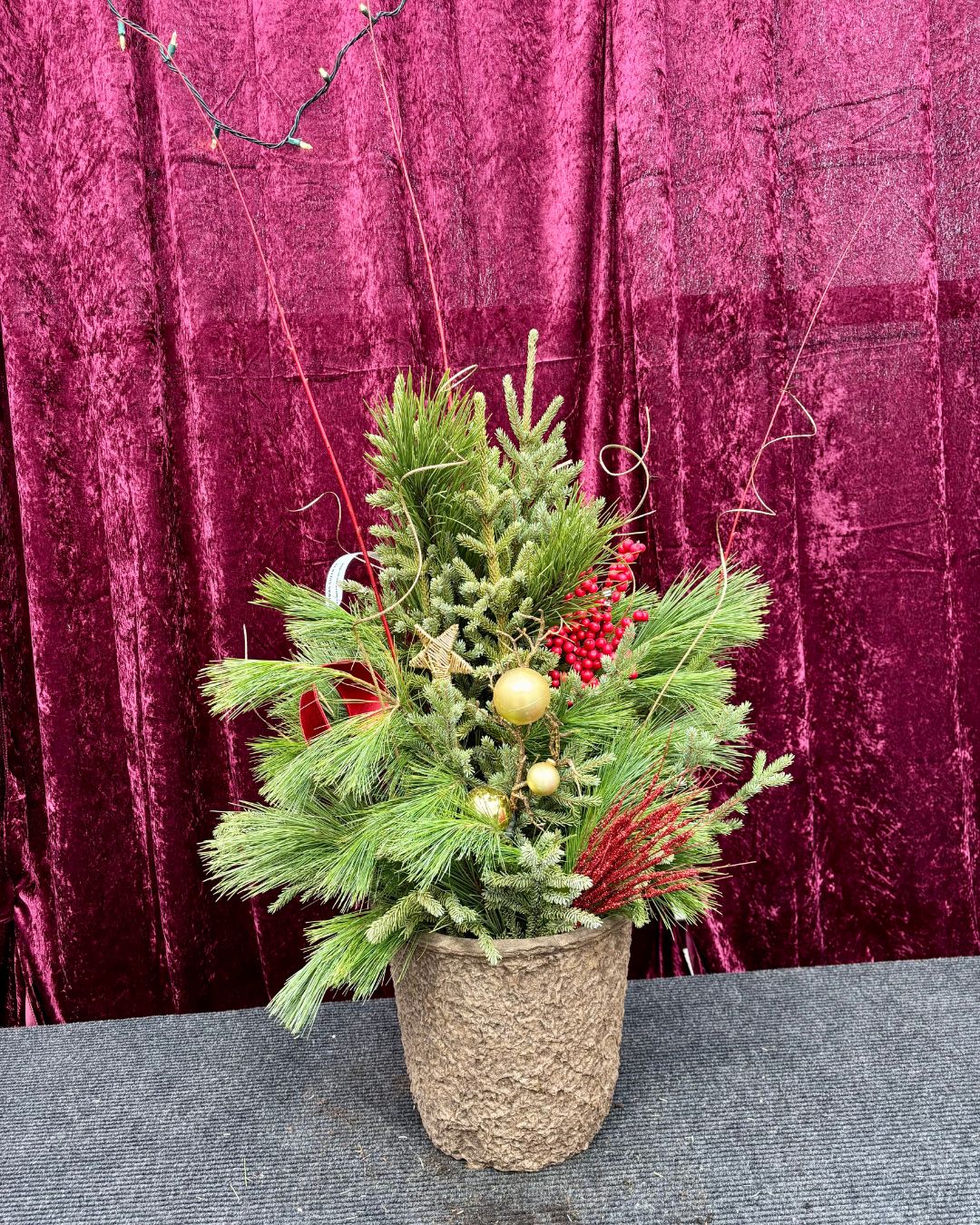 Christmas Cheer Spruce Top Container