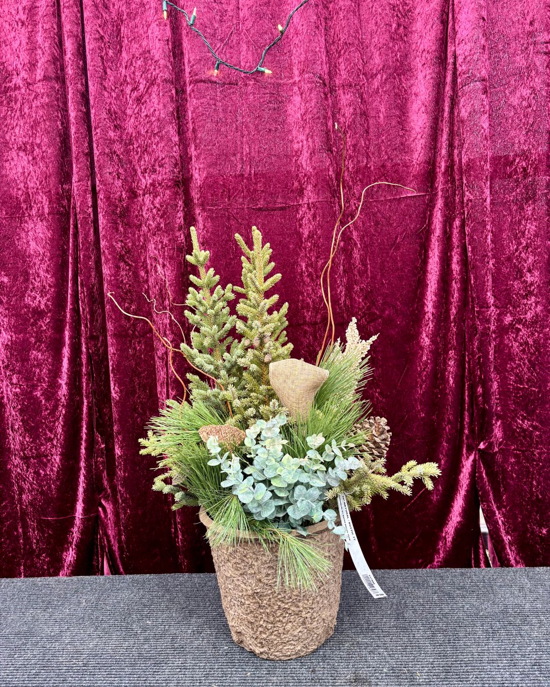 Natural Spruce Top Container