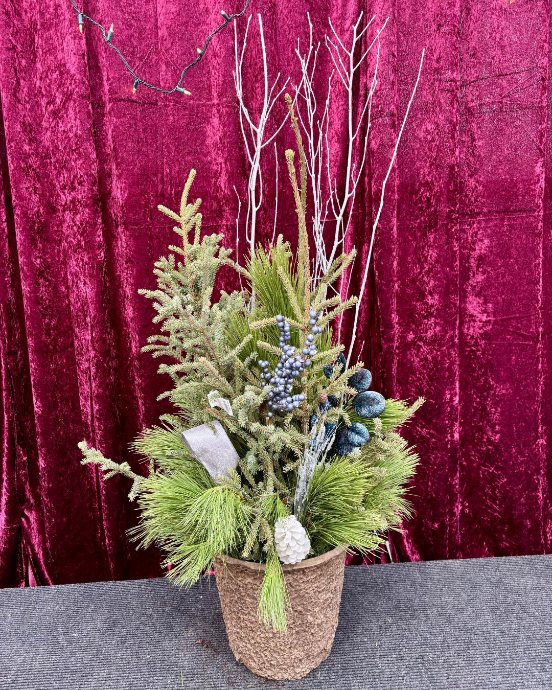 Winter Wonderland Spruce Top Container