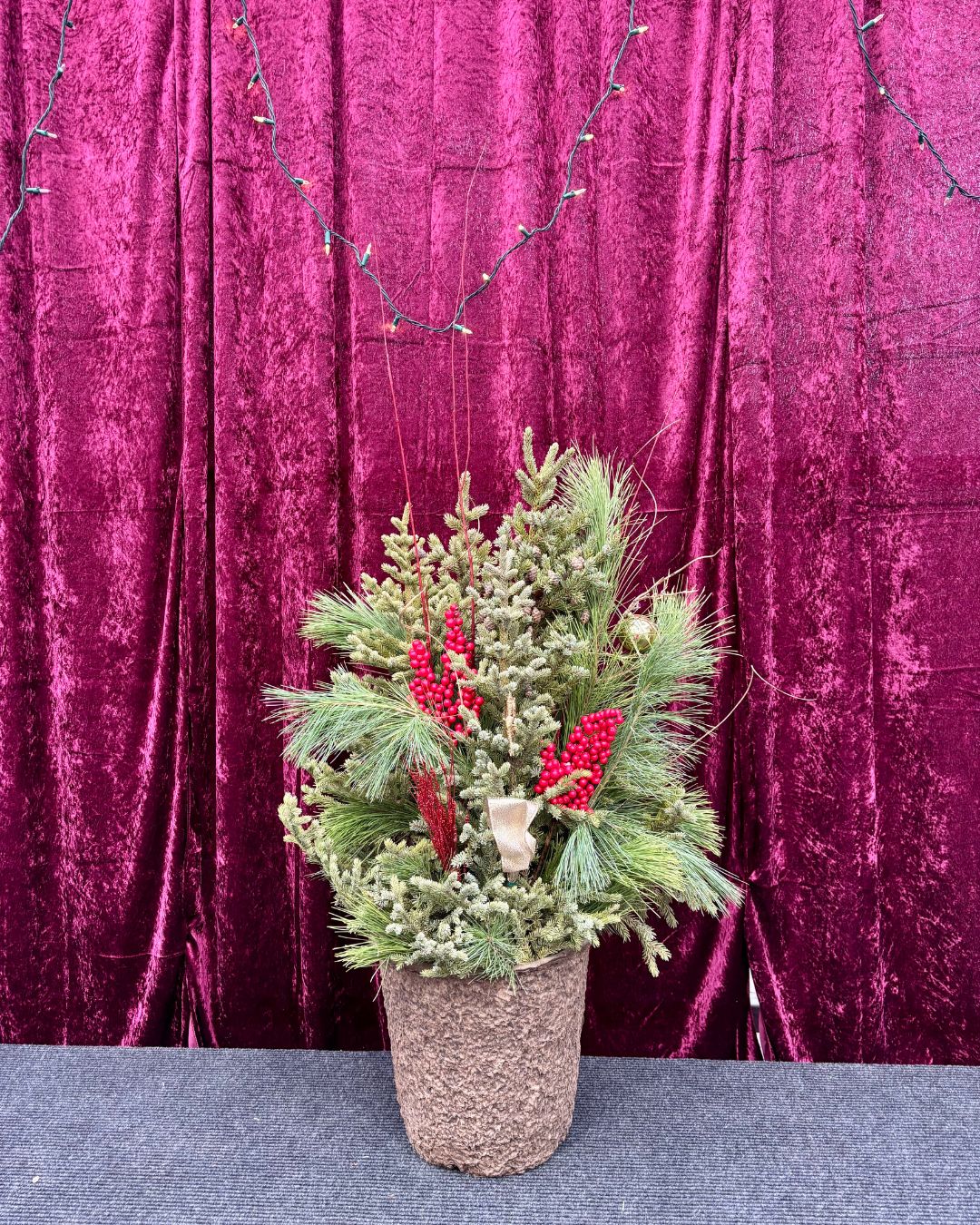 Christmas Cheer Spruce Top Container