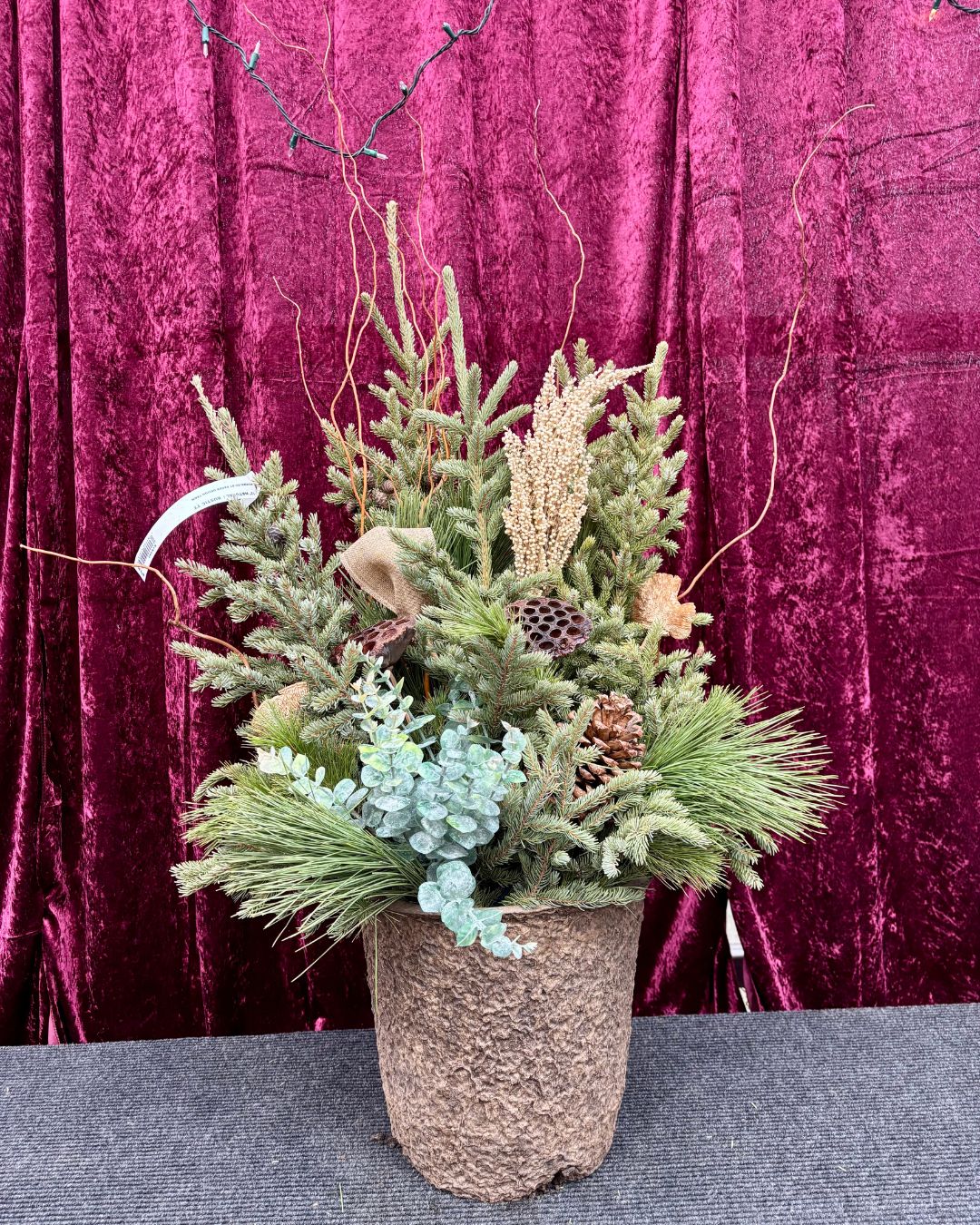 Natural Spruce Top Container