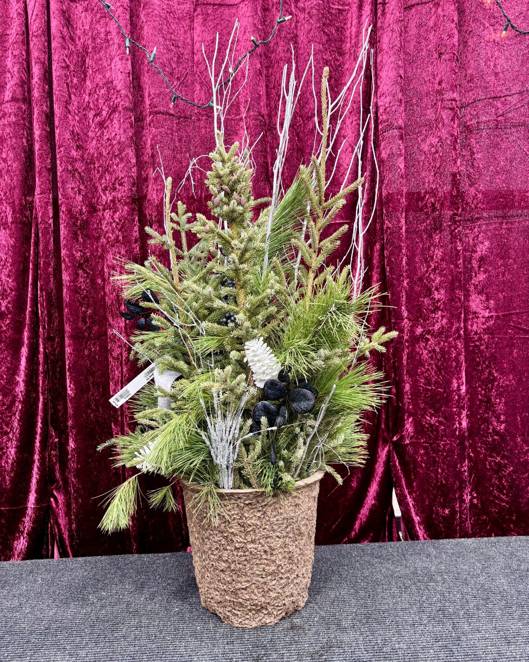 Winter Wonderland Spruce Top Container