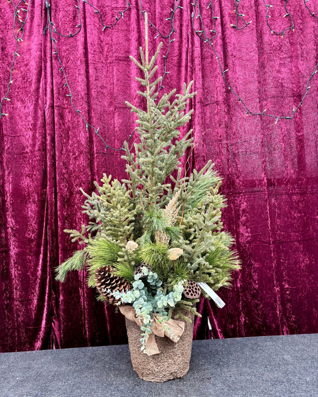 Natural Spruce Top Container