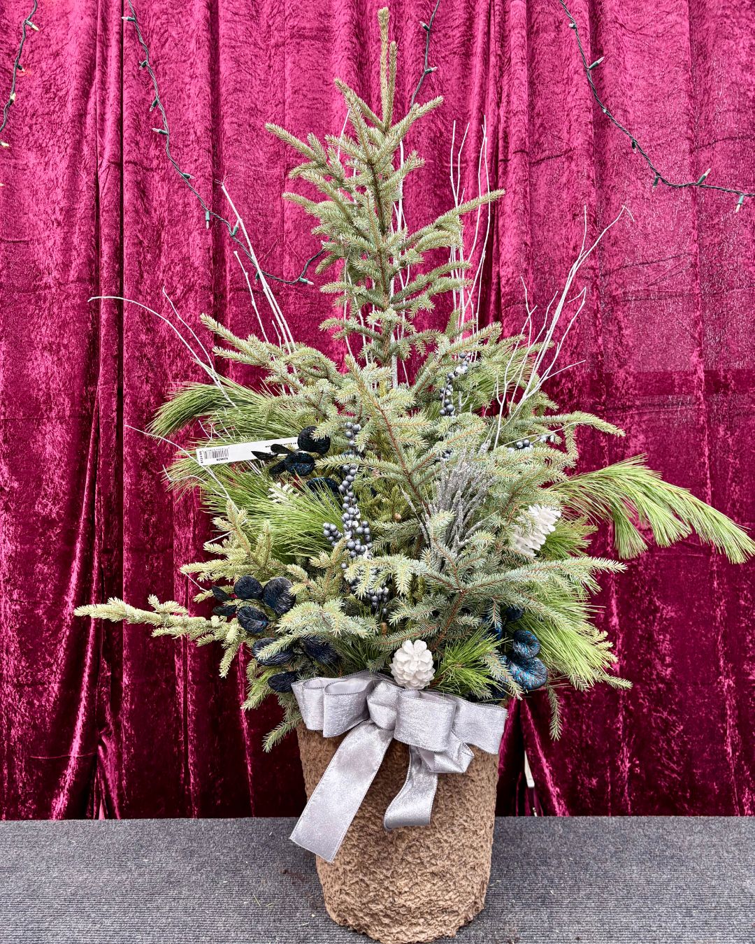 Winter Wonderland Spruce Top Container