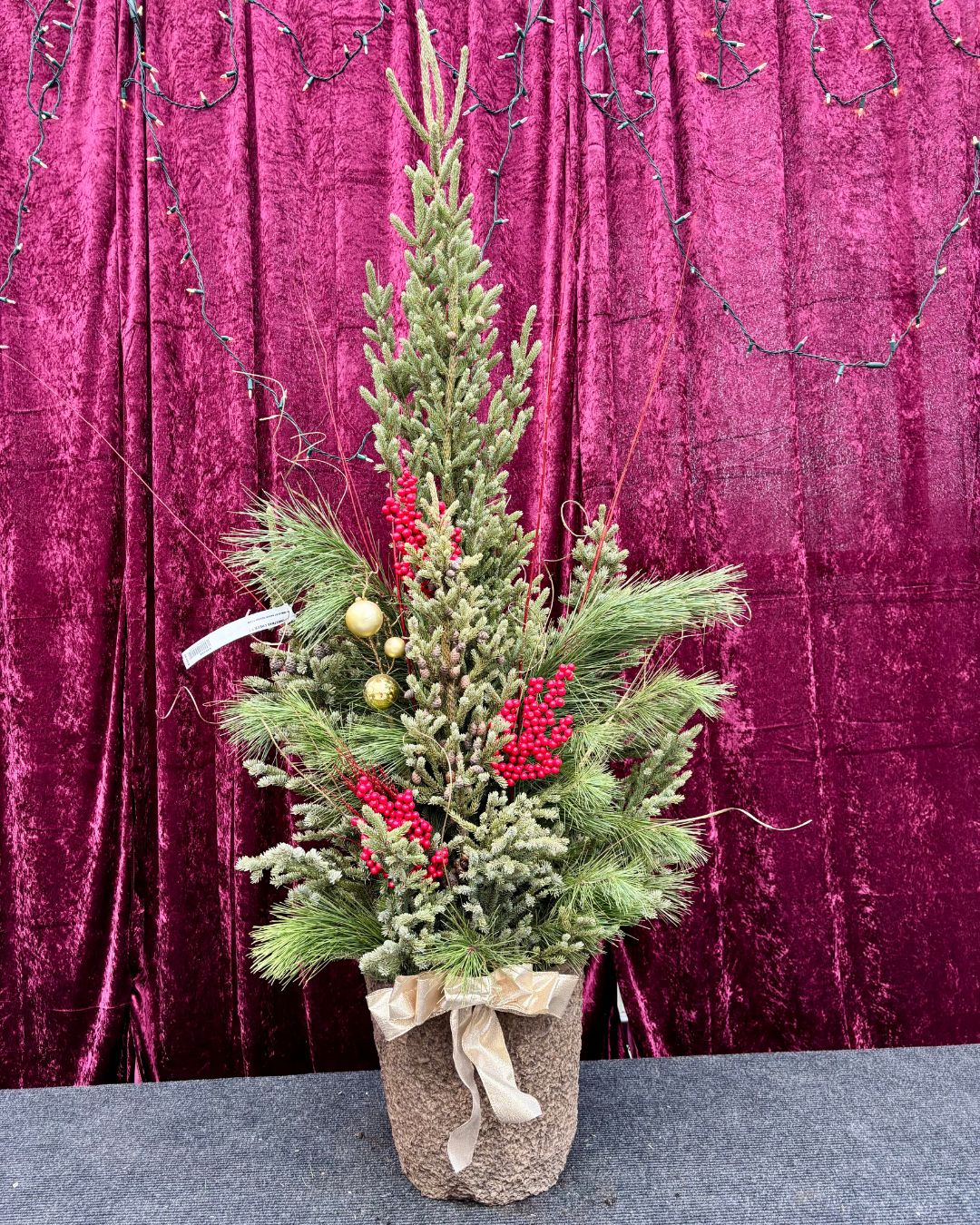 Christmas Cheer Spruce Top Container