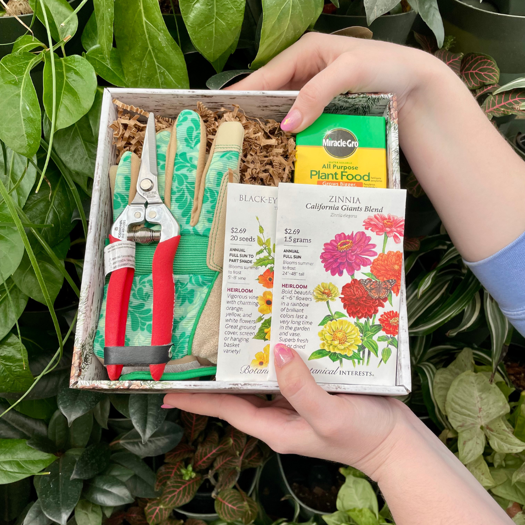 plant lovers curated box