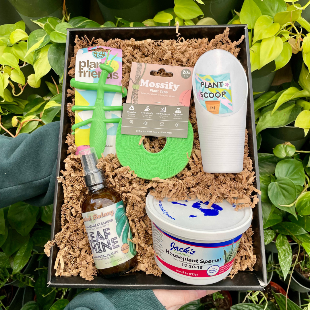 Houseplant Lovers Curated Box