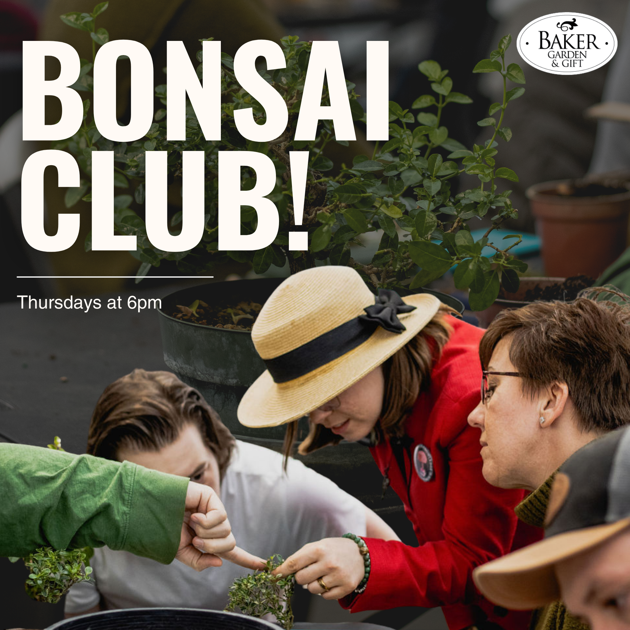 Workshop: Bonsai Club!