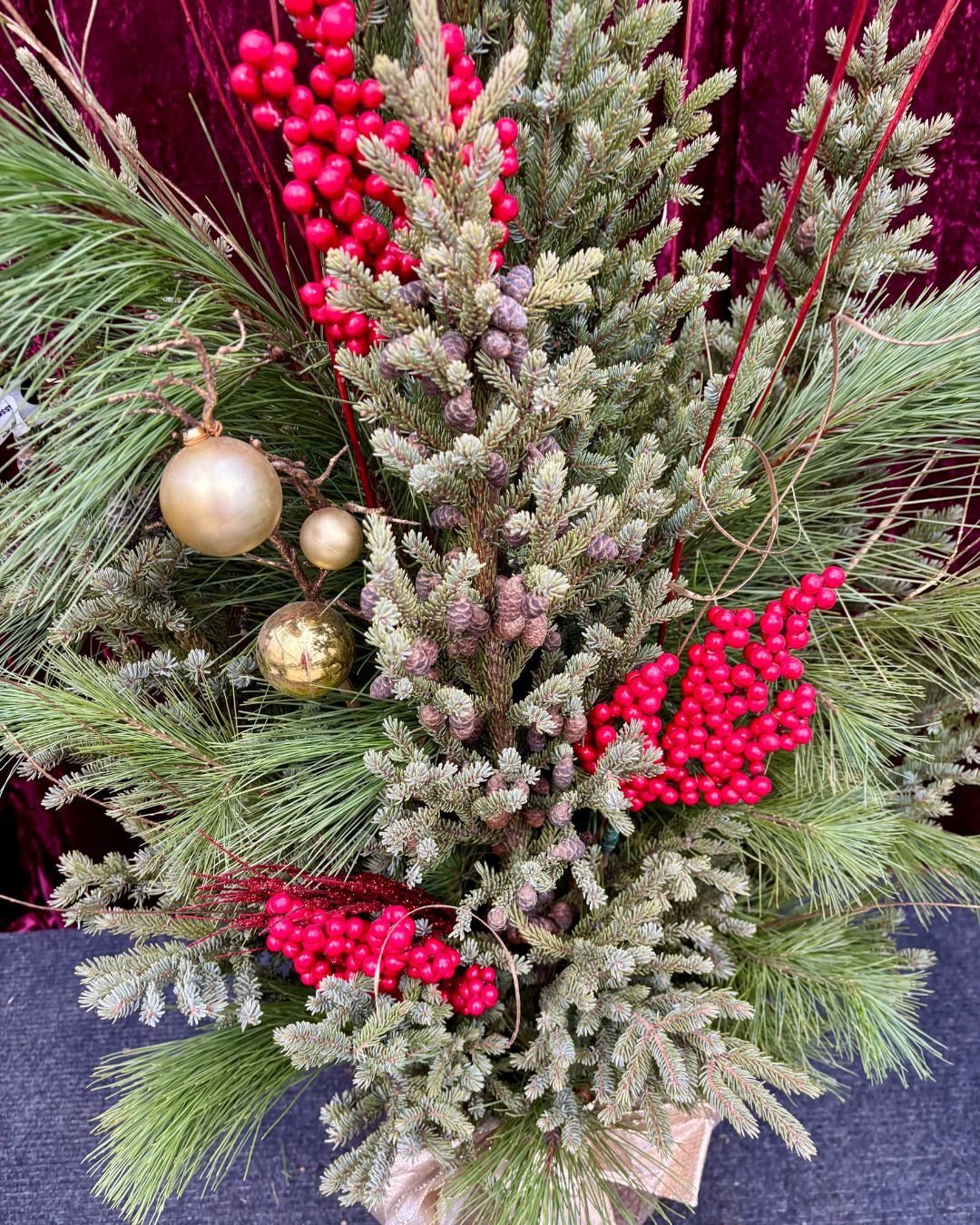 Christmas Cheer Spruce Top Container