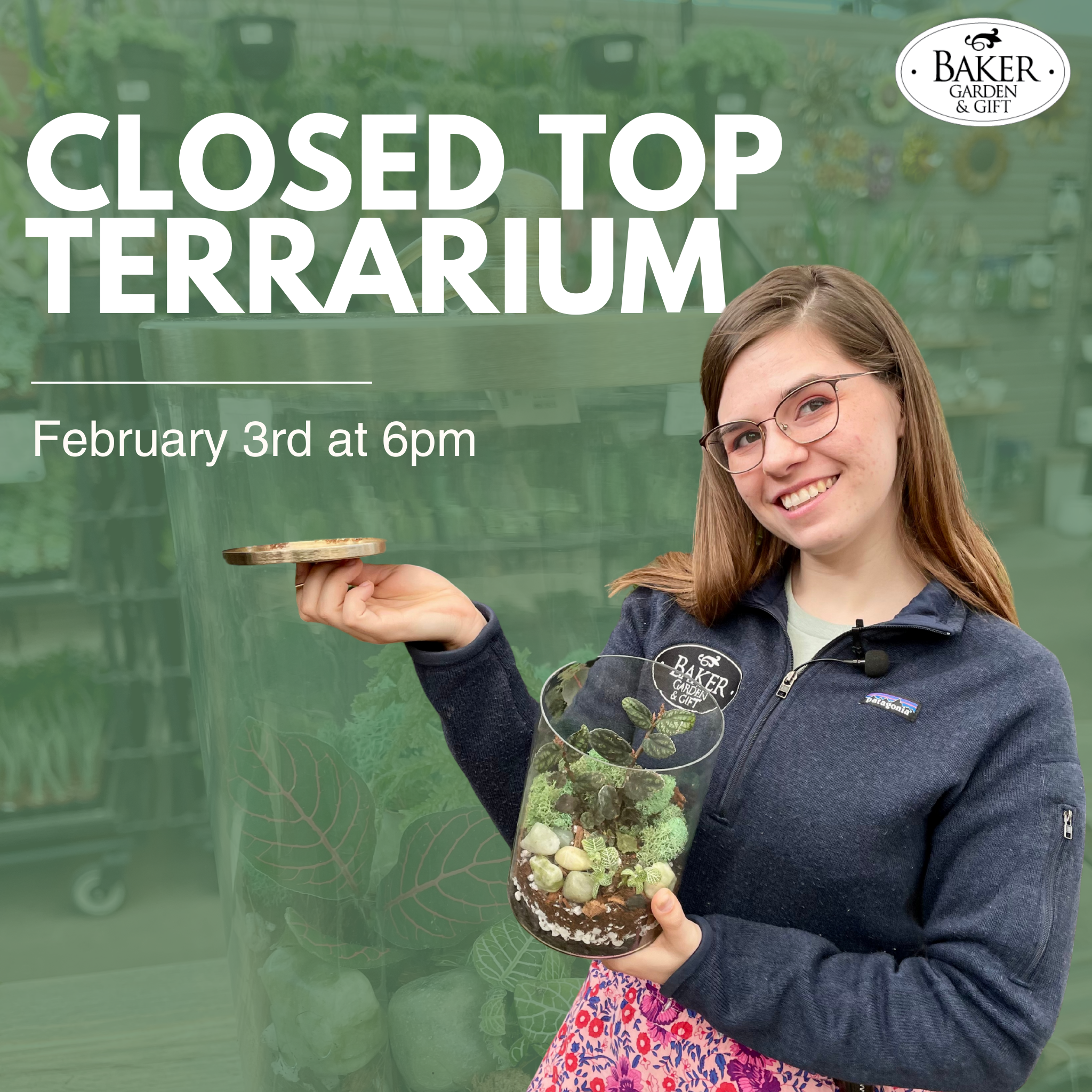 Closed Top Terrarium