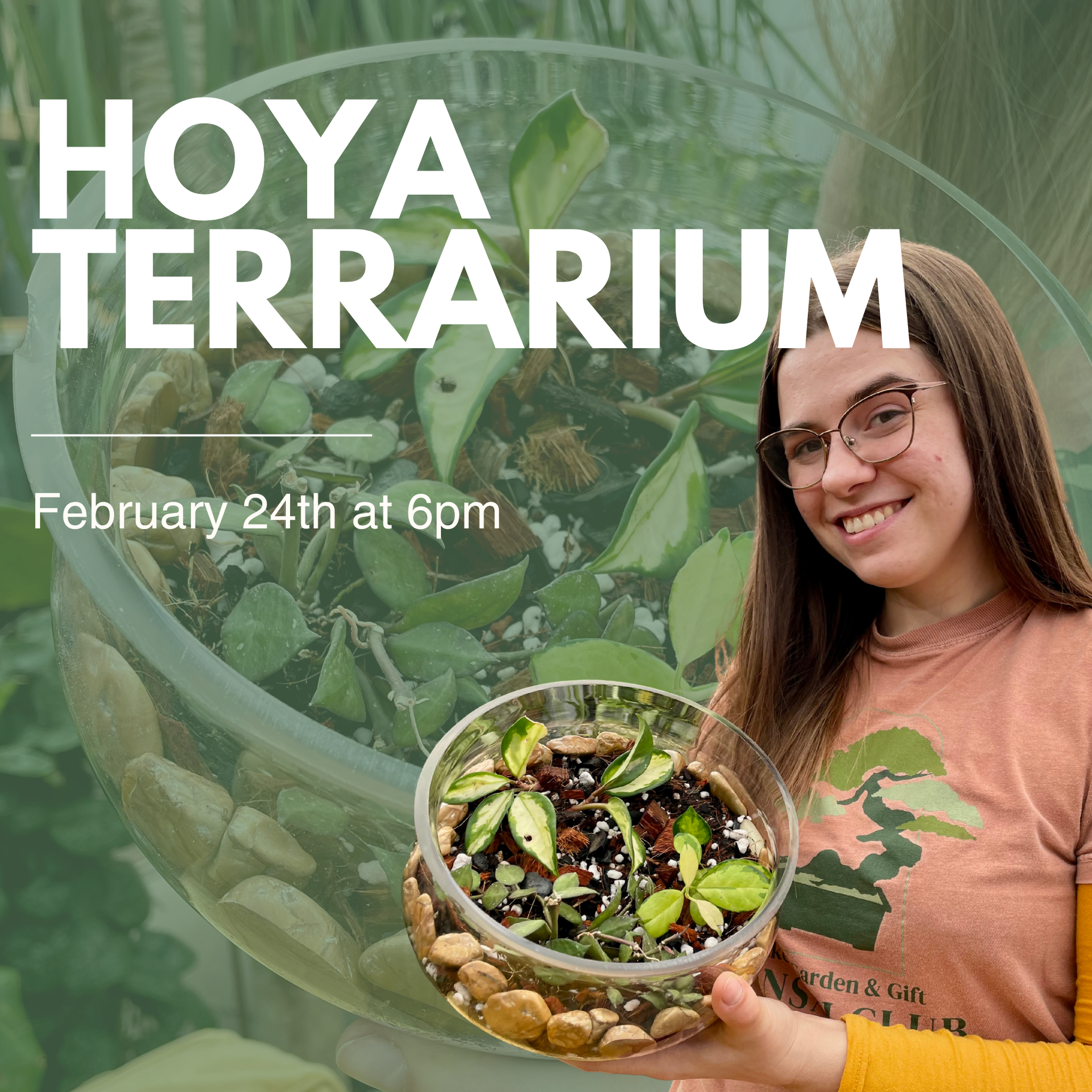 Hoya Terrarium
