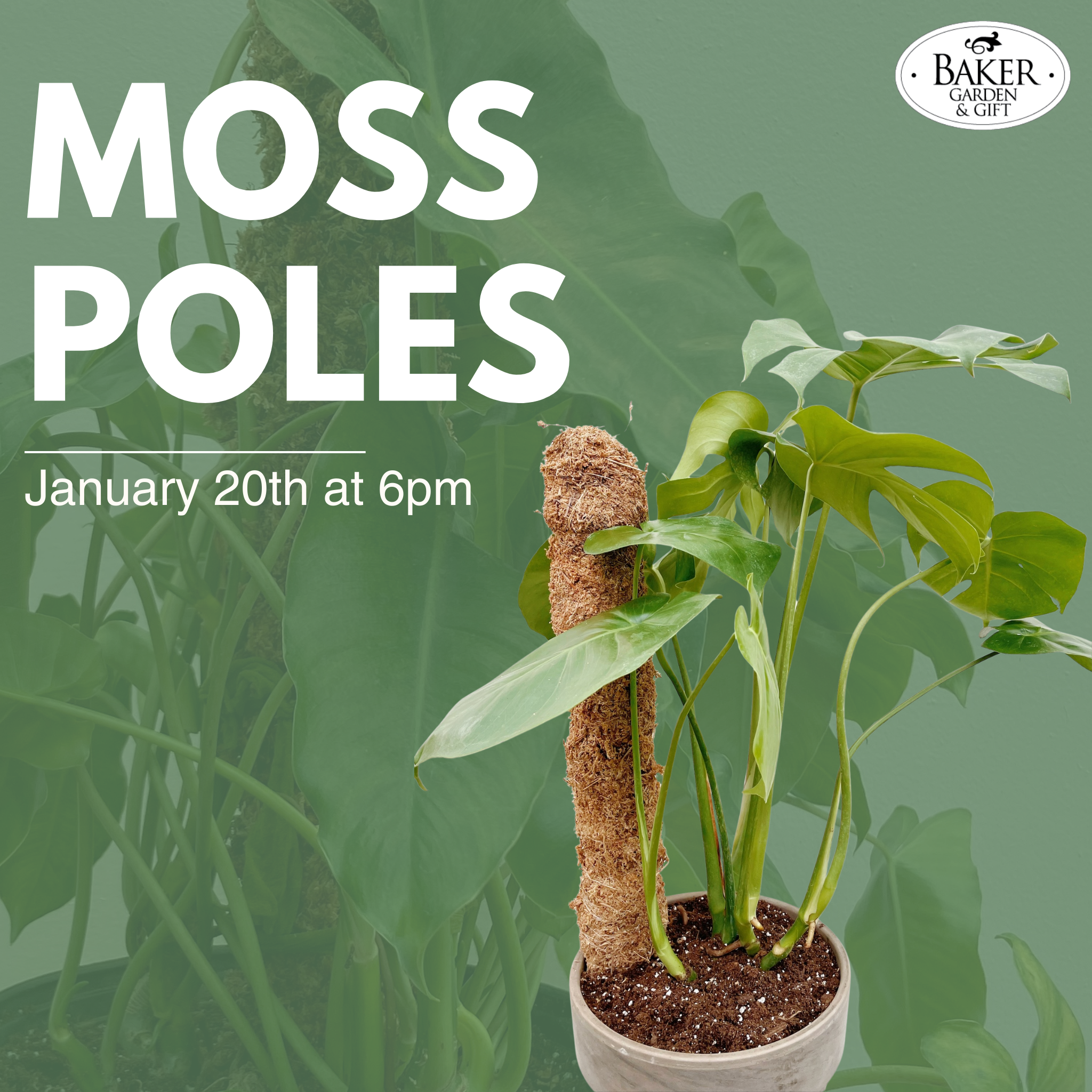 Moss Poles