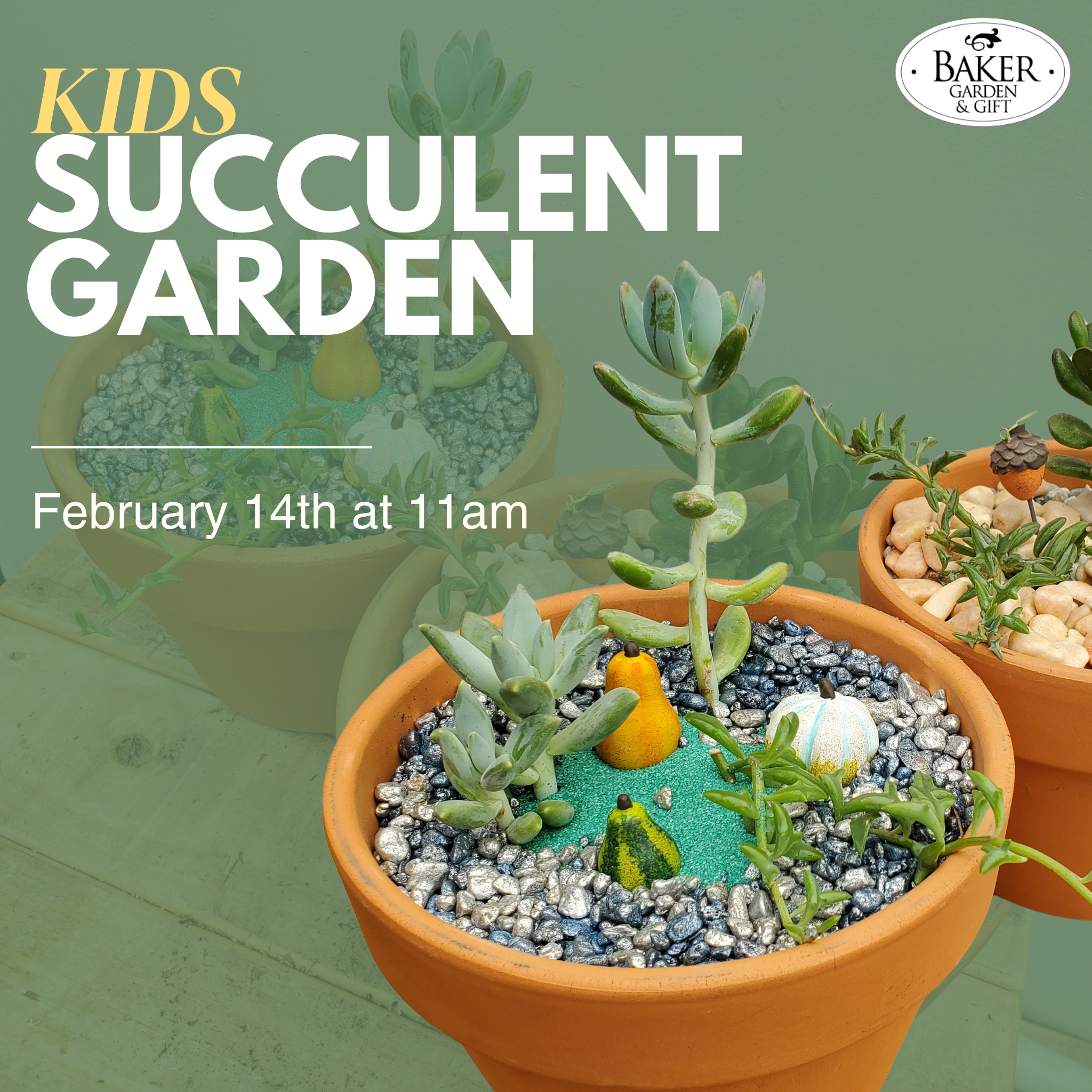 Kids Succulent Garden